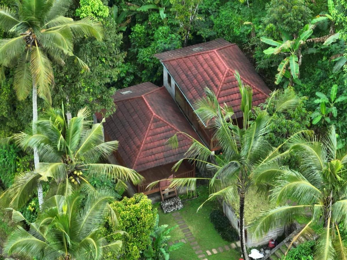 Uma D'Nyuh Homestay Сингараджа Экстерьер фото