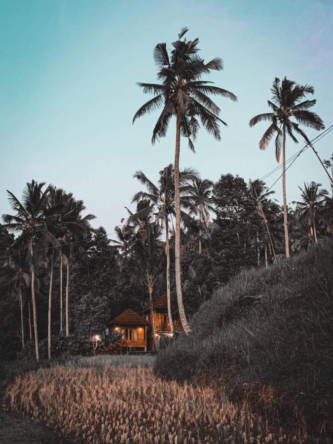 Uma D'Nyuh Homestay Сингараджа Экстерьер фото