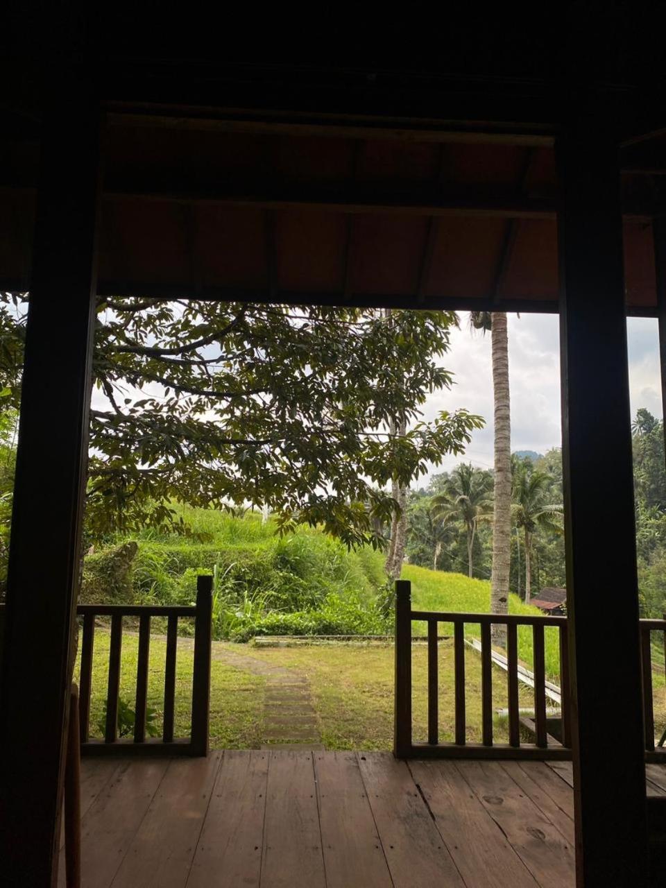 Uma D'Nyuh Homestay Сингараджа Экстерьер фото