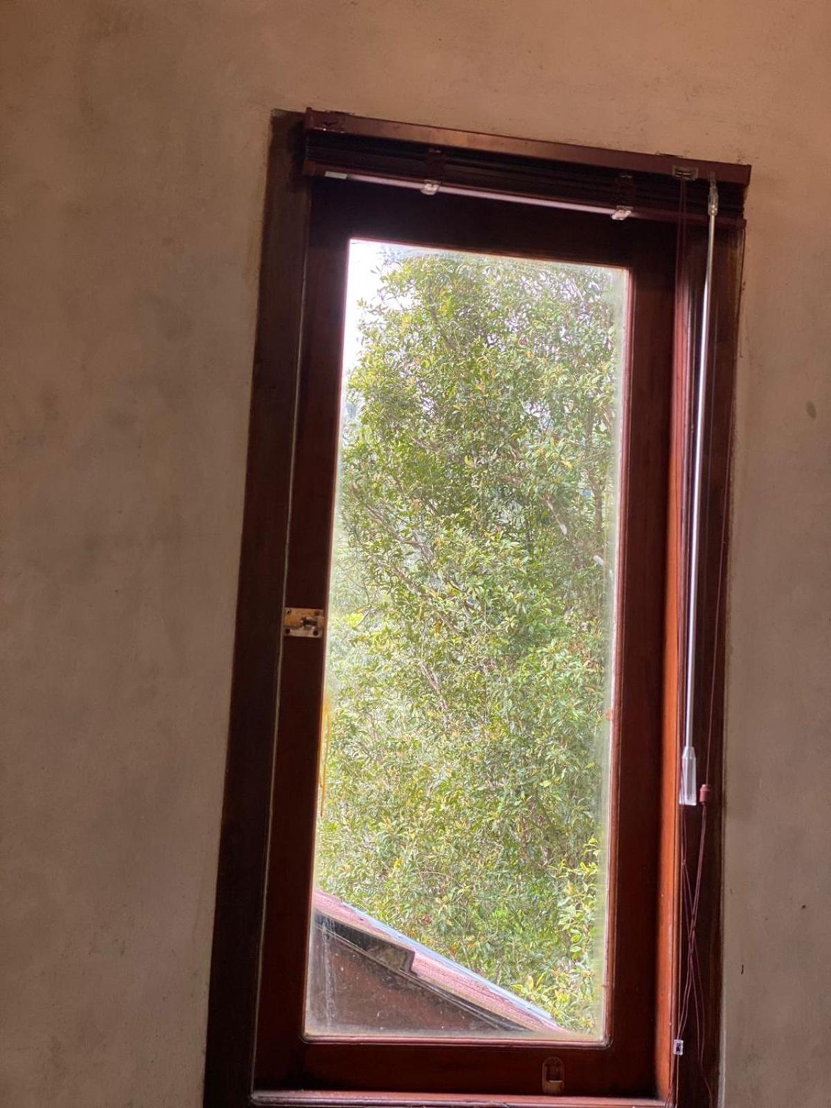Uma D'Nyuh Homestay Сингараджа Экстерьер фото
