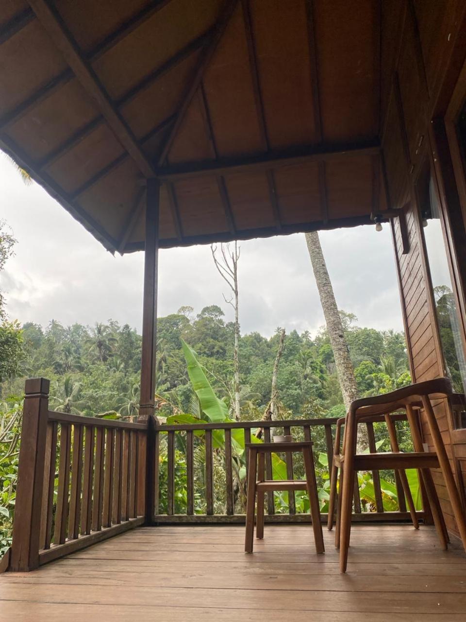 Uma D'Nyuh Homestay Сингараджа Экстерьер фото