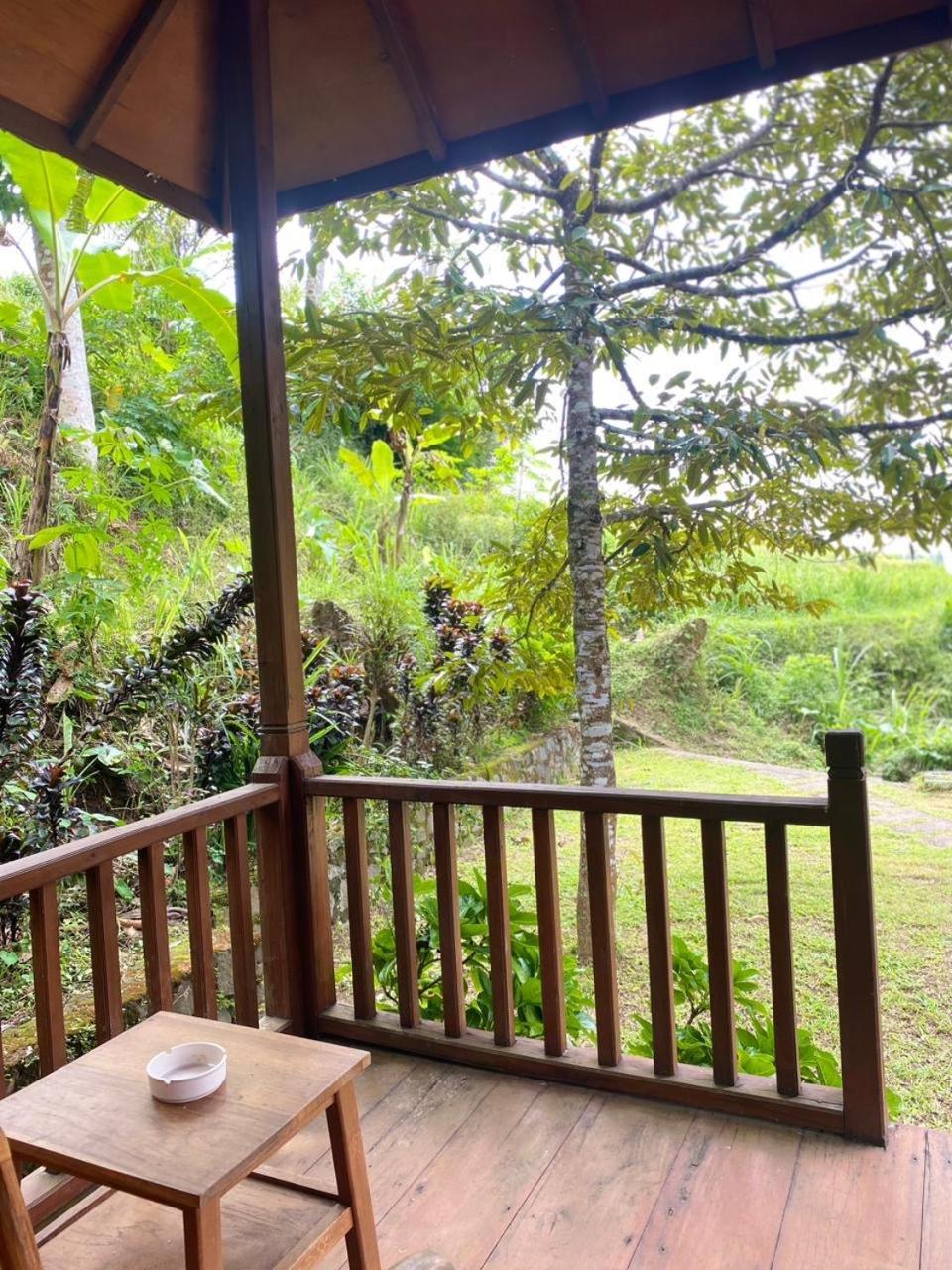 Uma D'Nyuh Homestay Сингараджа Экстерьер фото