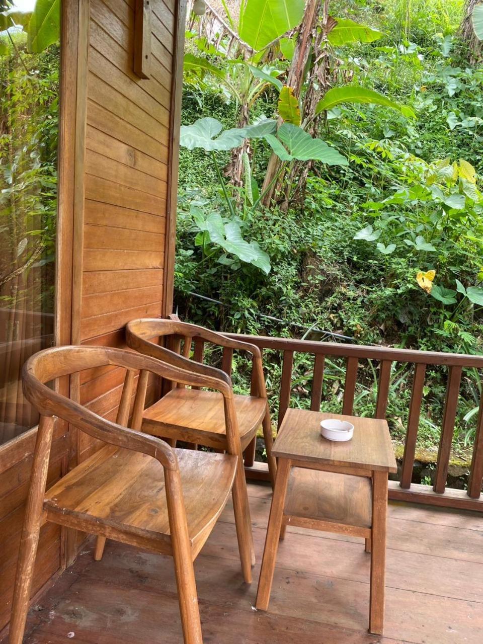Uma D'Nyuh Homestay Сингараджа Экстерьер фото