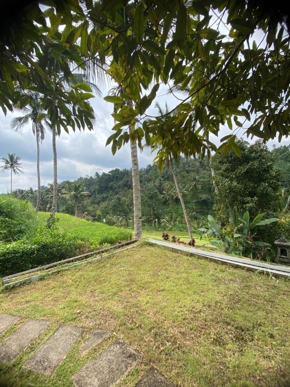 Uma D'Nyuh Homestay Сингараджа Экстерьер фото