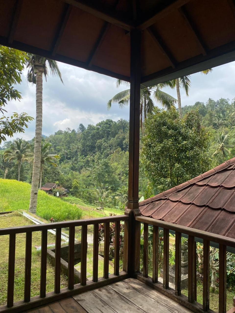Uma D'Nyuh Homestay Сингараджа Экстерьер фото