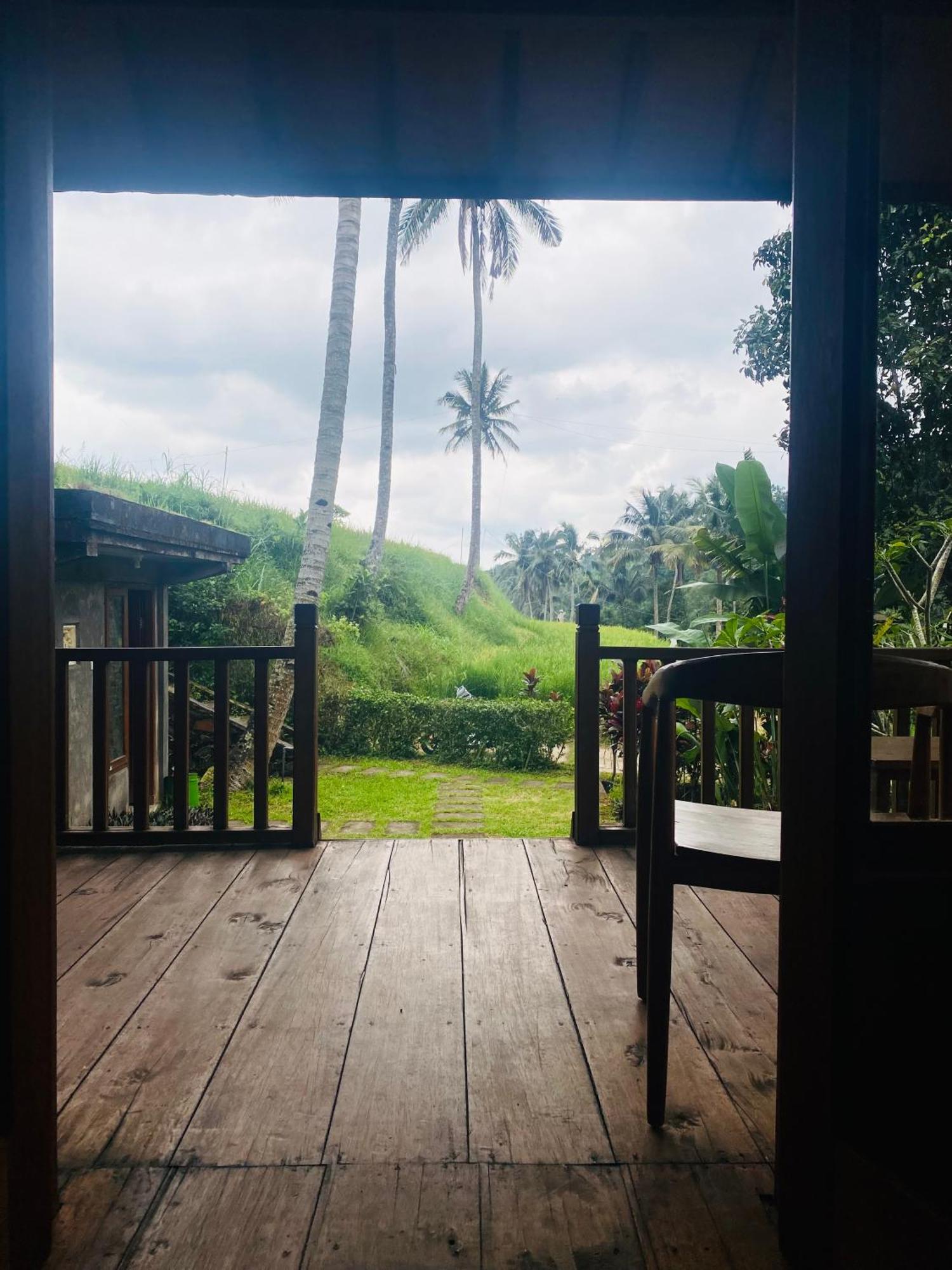 Uma D'Nyuh Homestay Сингараджа Экстерьер фото